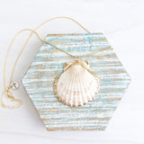 Salty Shell