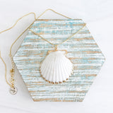 Salty Shell